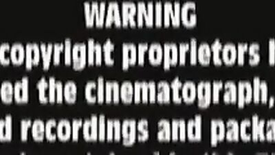 Gay Bareback Boys - Exploring Raw Passion