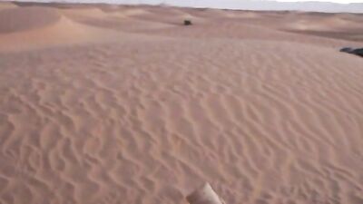 Arabian Action Ass Play Big Cocks: A Thick & Throbbing Adventure!