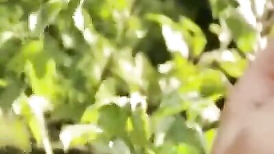 Fruit Taste Exposure: An All-Male Bareback Action Orgy!