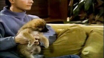 Gay Porn Legends Unleashed - Epic American Classic