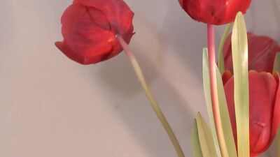 Bareback Passion - Corey & Justins Sizzling Afternoon Fuck