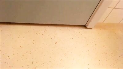 Young and Lustful: Exploring Amateur Webcam Desires