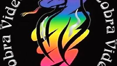 Gay Porn Videos - Beach Buddies Austins Movie