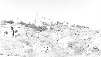 Nudist Camp Nirvana: A Vintage Gay Porn Experience!