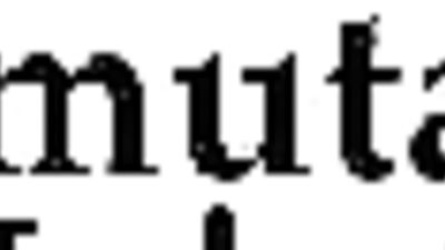 Black Heat: An Intense Threesome Between Muscular Men