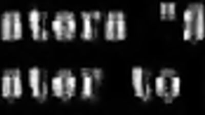 Young Gay Buddies Sucking Straight Cocks: The Ultimate Gay Porn Experience!