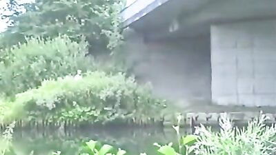 Young & Wild - A Gay Porn Journey of Lust and Desire