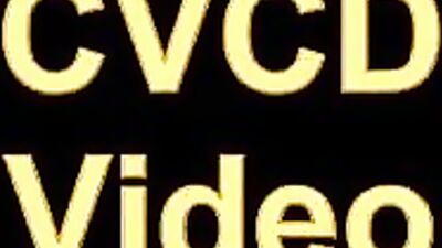 Gangbang Paradise: Unleashing the Harem Beast Within