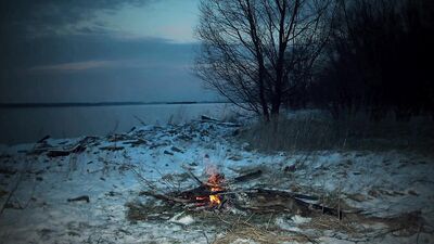 Stranded: The Ultimate Bareback Mix-Up!