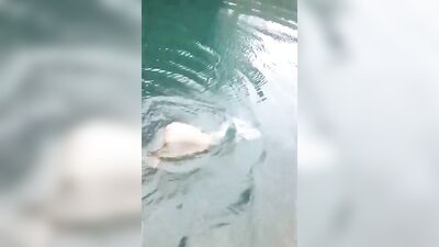 Exposing the Cute Divers Secret Desires