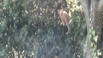 Sammy elihah Fucks Hard - Big Cocks, Cum Shots Galore!