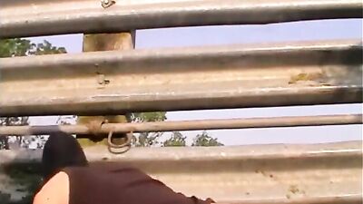 Weak Little Twink Used Outdoors 480p - The Ultimate Bareback Cumshots Collection!