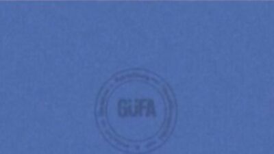 Brotherly Love: An Action-Packed Bareback Adventure!