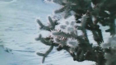 Dust Unto Dust: The Ultimate Blond Boys Action Bareback Video