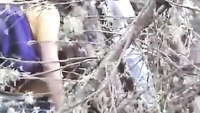 Woodland Adventures (34 chars)