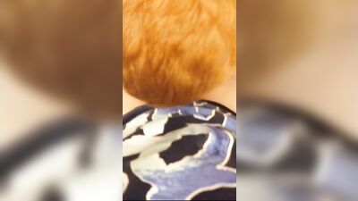 Good Blowjob Juicy 2: Cum Shots and More Oral Pleasures