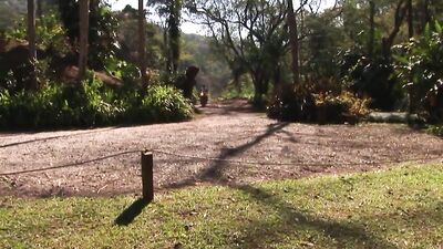 Outdoor Boys Fuck: Wild Cocks in the Woods HD