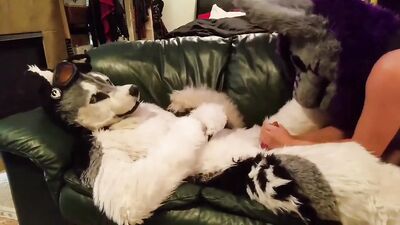 Cumming Furry Wolf Boy: The Ultimate Cutie Fetish Video!