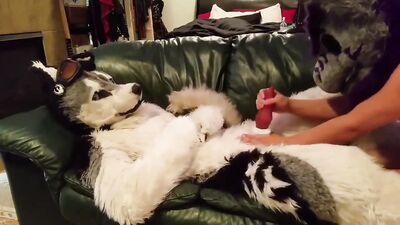 Cumming Furry Wolf Boy: The Ultimate Cutie Fetish Video!