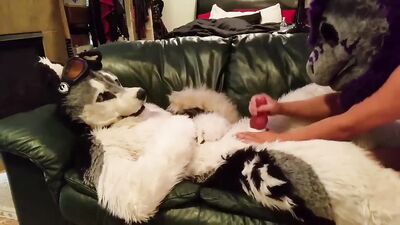 Cumming Furry Wolf Boy: The Ultimate Cutie Fetish Video!