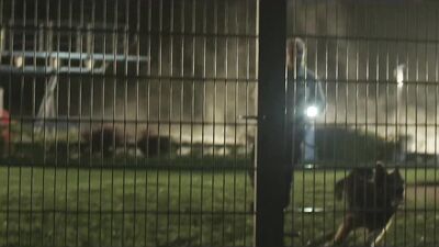 Mark Forster - Flash mich nochmal: The Ultimate Gay Porn Experience