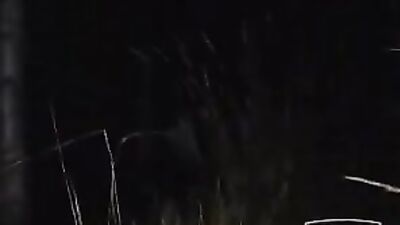 Outdoor Fun Vintage: Blond Boys in Action!