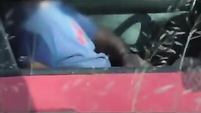 In Public Garden: City Voyeur