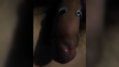 The Joke Jokester - Funny Penis Pranks!