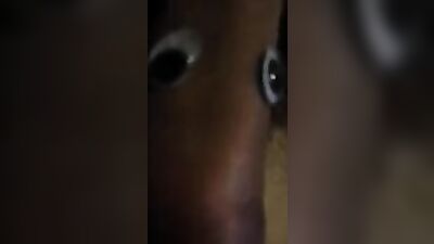 The Joke Jokester - Funny Penis Pranks!