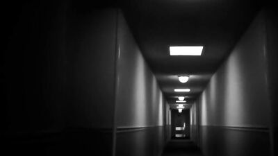 In a Hotelroom: Action Bareback Cum Shots!