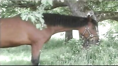 Edenwood Wild Boys - A Gay Porn Adventure in the Odenwald Forest!