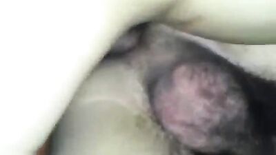 Sex Friends: The Ultimate Gay Porn Experience