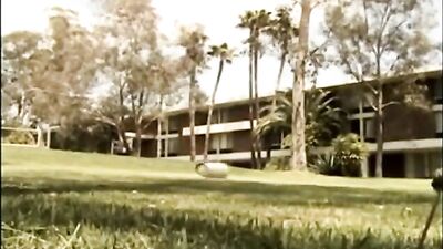 Invasion Revenge: College Students Get Their Hole-y Fix!