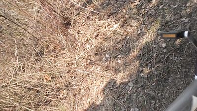 What The Fuck Is This?! Gay Amateur Porn - Youre About To Find Out!