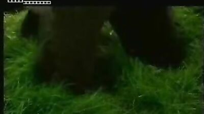 Gay Porn Video: Uncovering the Mystery Short Film!