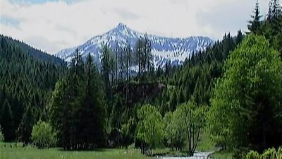 Gay Porn: Sex in the Sauna - The Hunt!