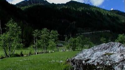 Horny Hunks in Action - Cum Shots and More!