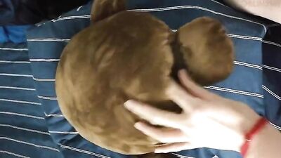 Straight Guy Cumshots & Handjobs! - Cam 8114