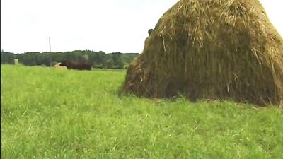 Outdoor Twink Adventures - Horny Amateur Solo