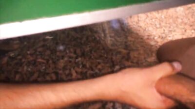 Mexican Twinks Bus Stop Orgy - Uncut Handjob and Cum Shots in Monterrey!