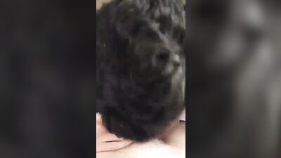 Homemade - 2B - room - suck