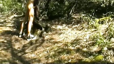 Leaning Tree Public Outside Fantasy