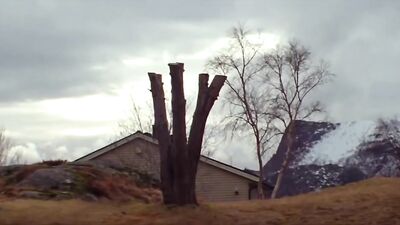 Gay Porn Short Movie: Bodies for the World 2015!