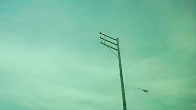 Gigantic Elephant Adventure: Uncover the Hidd*en Secrets of Gay Porn Movies