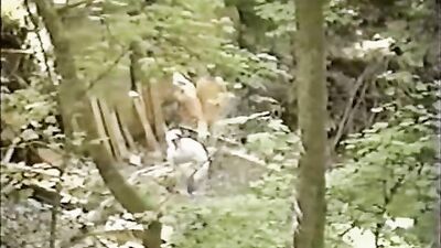 Old Sailors: A Vintage Porn Adventure!