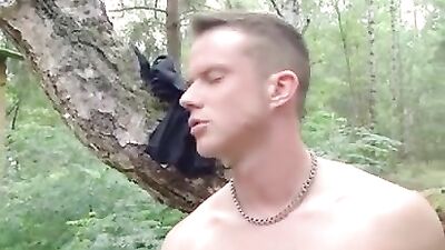 Twink Frenzy - The Ultimate Gay Porn Experience!