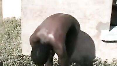 Big Cocks Black Solo - Jim from Mombassa with Huge Dick