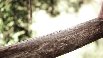 Gay Porn Adventure: Exploring My Sexuality with Trees and Men