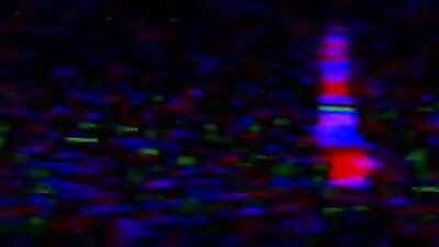 Camping Scares: Father & Son Bareback Adventure