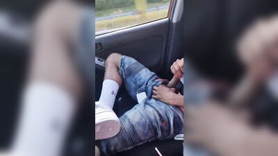 very friendly hitchhiker